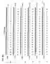 Fig. 27 - Antisense IAP oligonucleotides and uses thereof