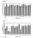 Fig. 46 - Antisense IAP oligonucleotides and uses thereof