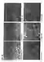 Fig. 51 - Antisense IAP oligonucleotides and uses thereof