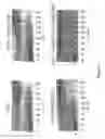 Fig. 02 - Compositions, methods and kits for repressing virulence in gram positive bacteria