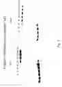 Fig. 09 - Compositions, methods and kits for repressing virulence in gram positive bacteria