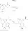 Fig. 23 - CYCLOALKYL INHIBITORS OF POTASSIUM CHANNEL FUNCTION