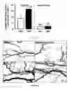 Fig. 08 - Treatment of inflammation and organ dysfunction