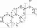 Fig. 19 - Nitrooxyderivative steroidal compounds