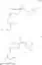 Fig. 48 - Nitrooxyderivative steroidal compounds