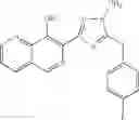 Fig. 101 - Naphthyridine integrase inhibitors