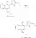 Fig. 31 - Naphthyridine integrase inhibitors