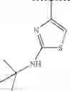 Fig. 264 - Viral polymerase inhibitors