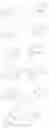 Fig. 77 - Viral polymerase inhibitors