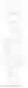 Fig. 84 - Viral polymerase inhibitors