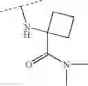 Fig. 891 - Viral polymerase inhibitors