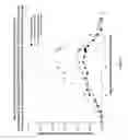 Fig. 03 - Treatment of length dependent neuropathy