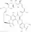 Fig. 60 - Uses of rifamycins