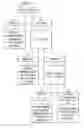 Fig. 03 - METHOD OF CANCER SCREENING; METHOD OF CANCER TREATMENT; AND METHOD OF DIABETES TREATMENT