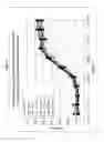 Fig. 05 - Isoquinoline compounds