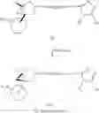 Fig. 05 - Azabicyclo (3.1.0.) hexane derivatives useful as modulators of dopamine Dreceptors