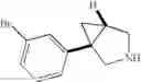 Fig. 59 - Azabicyclo (3.1.0.) hexane derivatives useful as modulators of dopamine Dreceptors