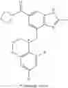 Fig. 23 - Chromane substituted benzimidazole derivatives