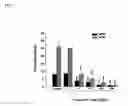 Fig. 02 - Angiogenesis inhibitors