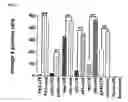 Fig. 07 - Method for inhibiting cancer development by fatty acid synthase inhibitors