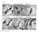 Fig. 09 - Method for inhibiting cancer development by fatty acid synthase inhibitors