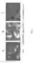 Fig. 03 - Macrophage activation inhibitor