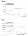 Fig. 11 - ANALGESIA