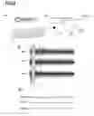 Fig. 17 - ANALGESIA