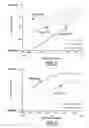 Fig. 04 - To enhance the thermal insulation of polymeric foam by reducing cell anisotropic ratio and the method for production thereof