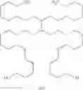 Fig. 11 - Process for the preparation of polyolefin nanocomposites