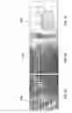 Fig. 04 - Polymer matrix composites with nano-scale reinforcements