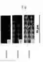 Fig. 10 - Polymer matrix composites with nano-scale reinforcements