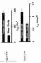 Fig. 13 - Polymer matrix composites with nano-scale reinforcements