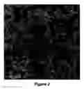 Fig. 04 - Nanoparticles with controlled architecture and method thereof