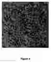 Fig. 05 - Nanoparticles with controlled architecture and method thereof