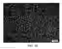 Fig. 13 - Block copolymer particles