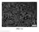 Fig. 14 - Block copolymer particles