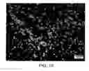 Fig. 18 - Block copolymer particles