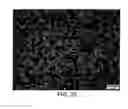 Fig. 23 - Block copolymer particles