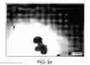 Fig. 27 - Block copolymer particles