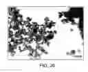 Fig. 29 - Block copolymer particles