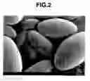 Fig. 03 - Oval-spherical organic polymer particle and process for producing the same