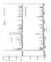 Fig. 03 - Peptide epitopes recognized by disease promoting CD4+ T lymphocytes