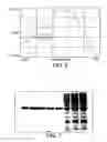 Fig. 05 - Purification method for recombinant glucose binding protein