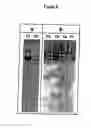 Fig. 09 - Multichemistry fractionation
