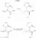 Fig. 04 - Oxopyrrolidine compounds, preparation of said compounds and their use in the manufacturing of levetiracetam and analogues
