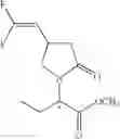 Fig. 09 - Oxopyrrolidine compounds, preparation of said compounds and their use in the manufacturing of levetiracetam and analogues