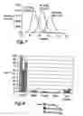 Fig. 05 - Chain growth reaction process