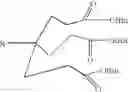 Fig. 07 - T-butyl cascade polymers