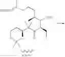 Fig. 18 - Method for producing c1-c15 fragments of epothilones and the derivatives thereof